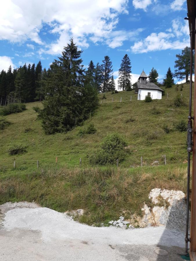 Sonnleit'N Zimmer 6 Abtenau Exterior foto