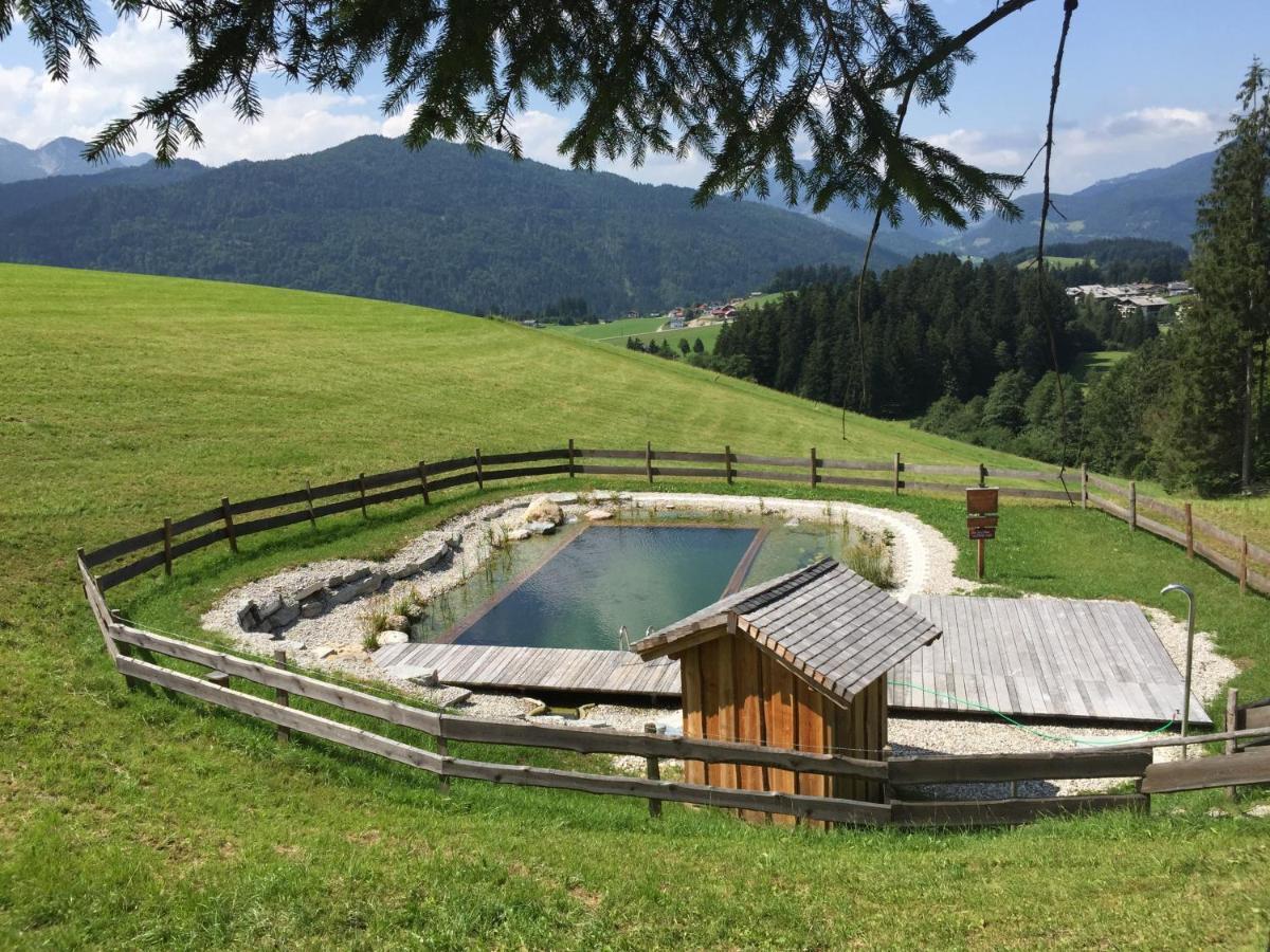 Sonnleit'N Zimmer 6 Abtenau Exterior foto